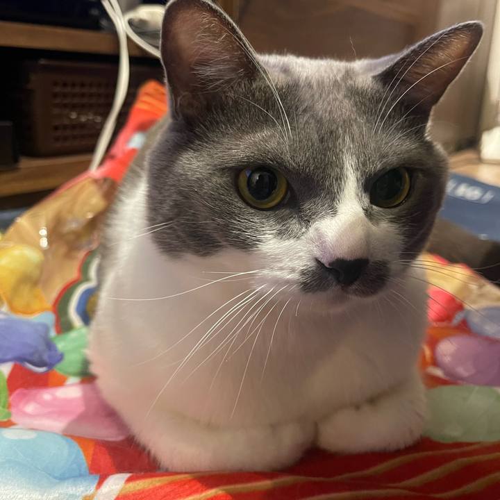 146d6e98 5b58 4fa0 a4bb dd173844a297 1694339310498