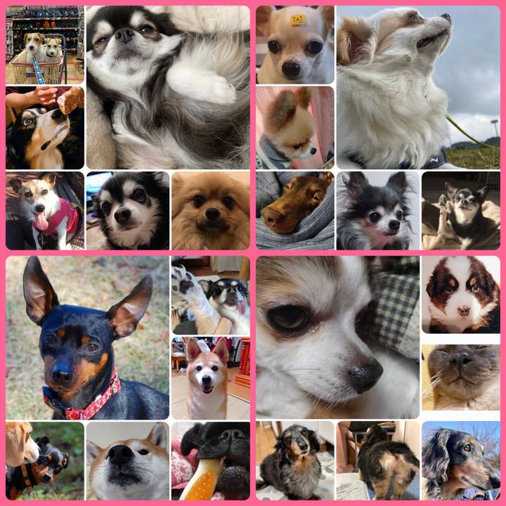 146d6f95 1c33 4074 8838 b23c3455fc50 1676758941464