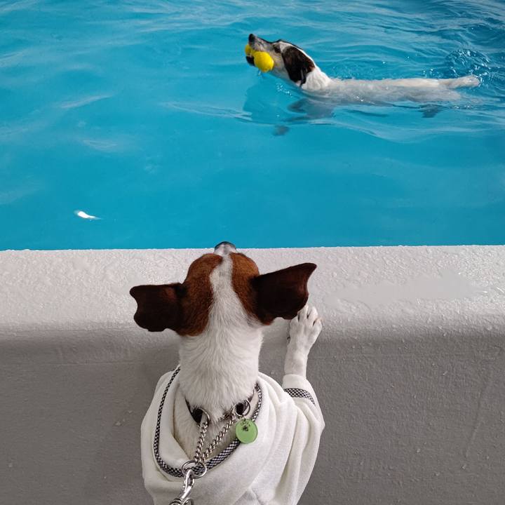 146d734b 71e3 436a abbe 252edc33ecd3 1677319689660