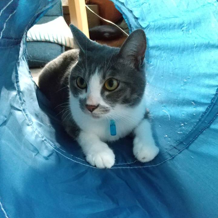 146d7ee5 534b 43b1 9b1e 373f5603570f 1596927396322