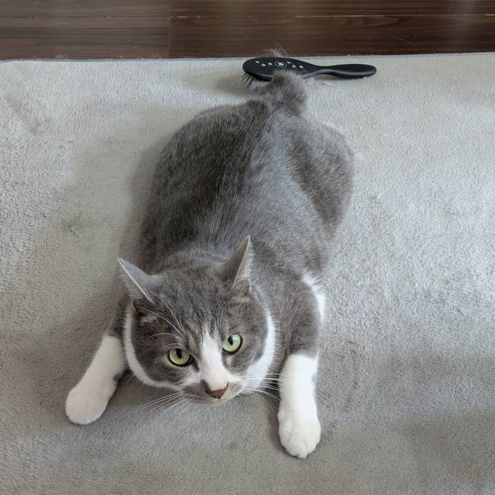 146d8867 0dd0 4651 88e4 480727d4c507 1751245477436