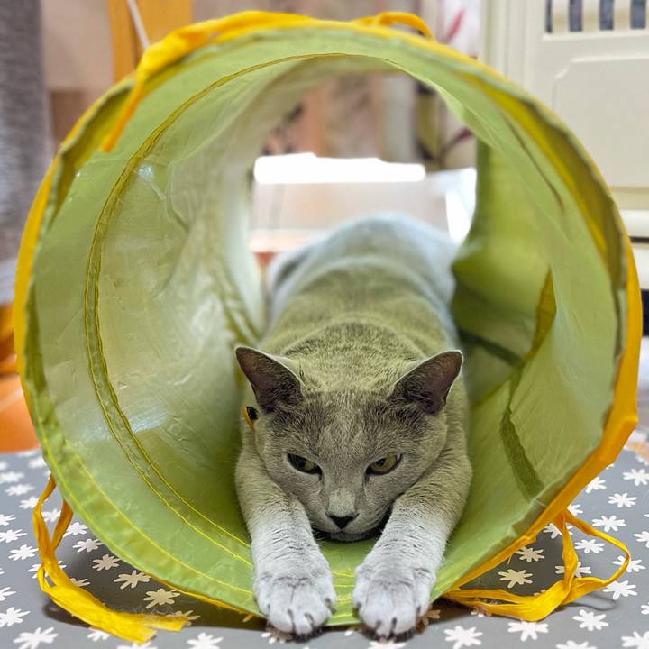 146db1db 1ef0 4c8c 8ad2 fcd01008ae30 1691367231676