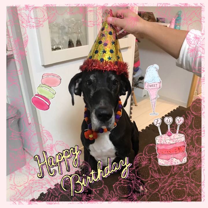 146dd23e 1e0a 4e97 8b48 1de2b374cd4e 1510225383752