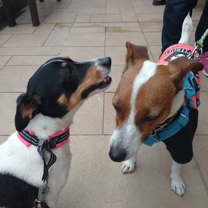 146ddac8 9272 43ee a515 2aa31e0336eb 1621823286458