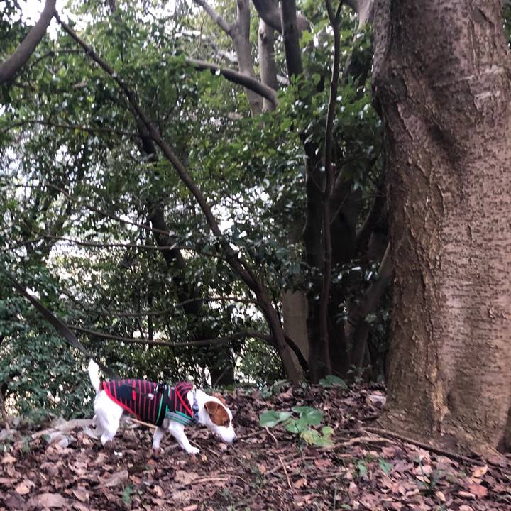 146ddf46 16a7 4491 96e3 498ed17674a3 1550738344566