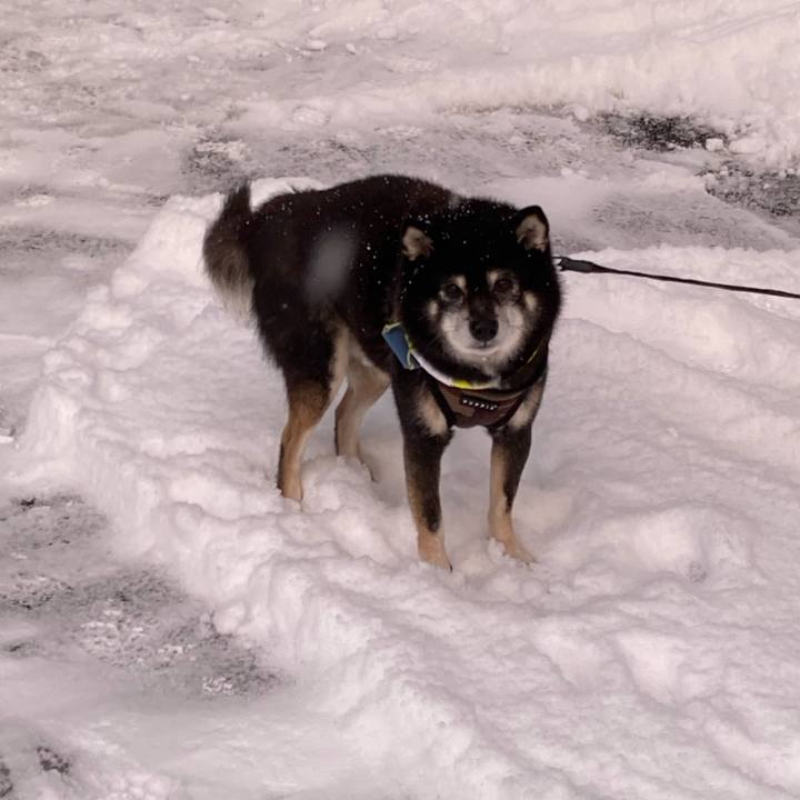 146dedf3 c46c 4204 acea 6ab0e5292932 1670553875352