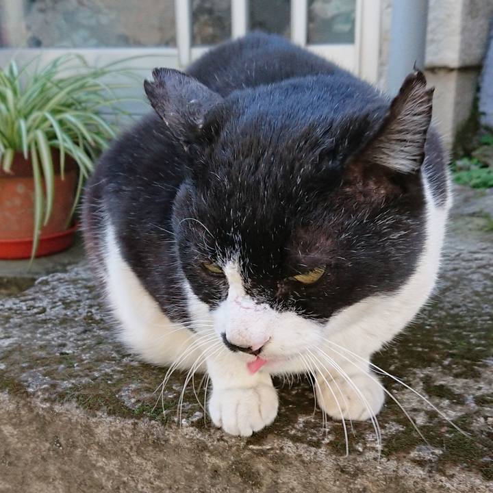 146e0896 2992 4828 a841 2f7e58a9a73b 1585118999104