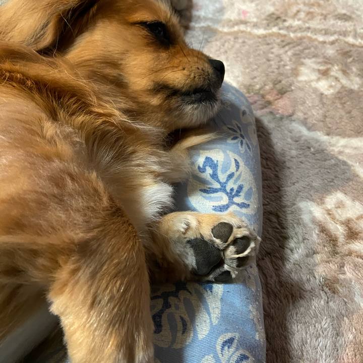 146e0dfe 3619 49cf 8700 a02d2dcca222 1606686696807