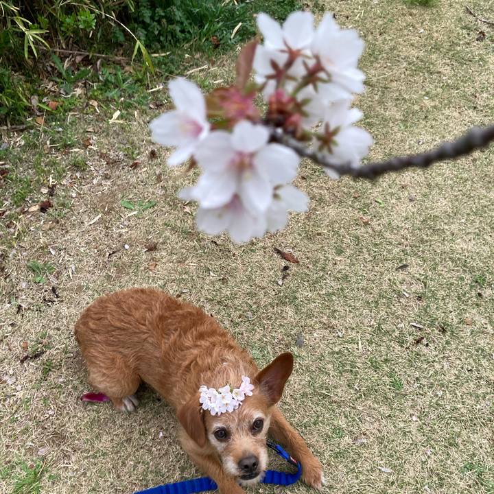 146e4321 88d0 4b9b 9f13 322fb53f142b 1648719798086