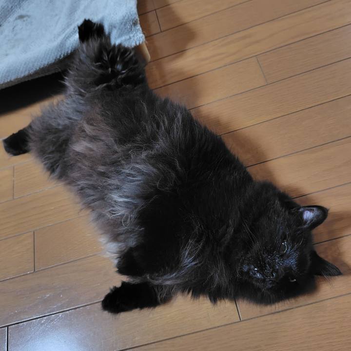 146e5846 6079 4957 8baf 84bad8a44478 1717131716721