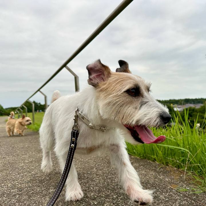 146e67d8 3ea5 4c1b a9da abce04eee432 1752325086232