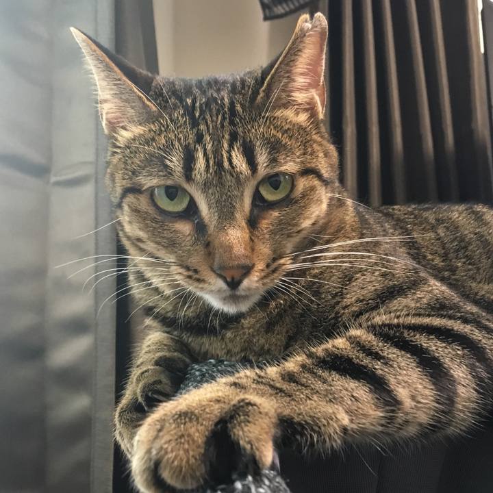 146e7491 d6e0 4c66 95d5 2924e427a742 1535006081470