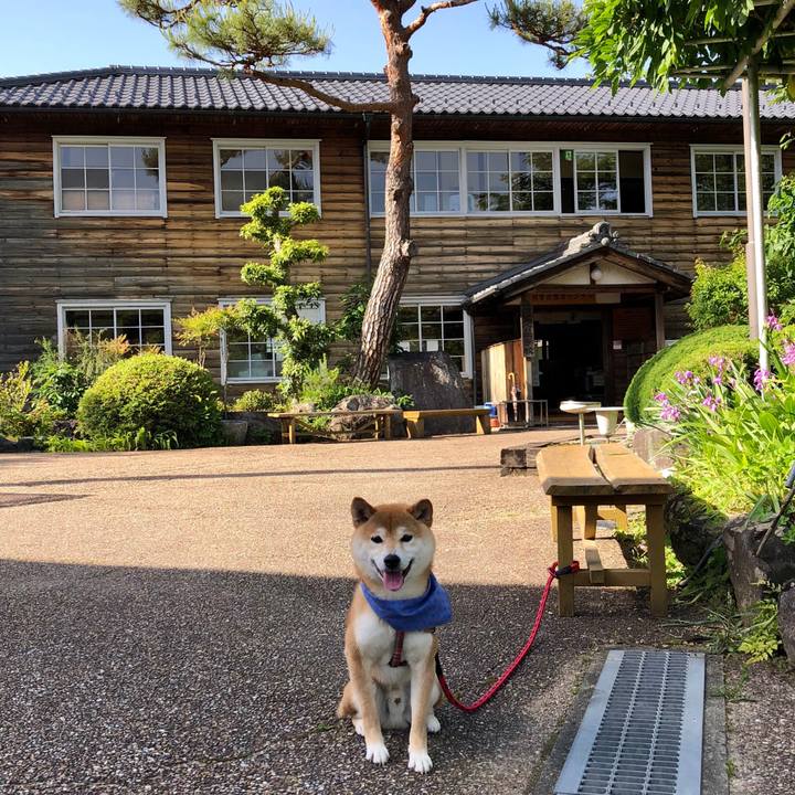 146e8481 7a6e 4b86 af7d 447cff47fe1c 1527425363355