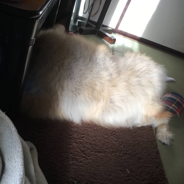 146ed590 871b 46e3 9456 cc62b23cdd66 1558051021420