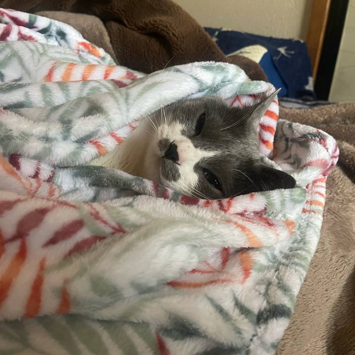 146ed9f2 ed57 410c 94fd 254a31950050 1682463994847