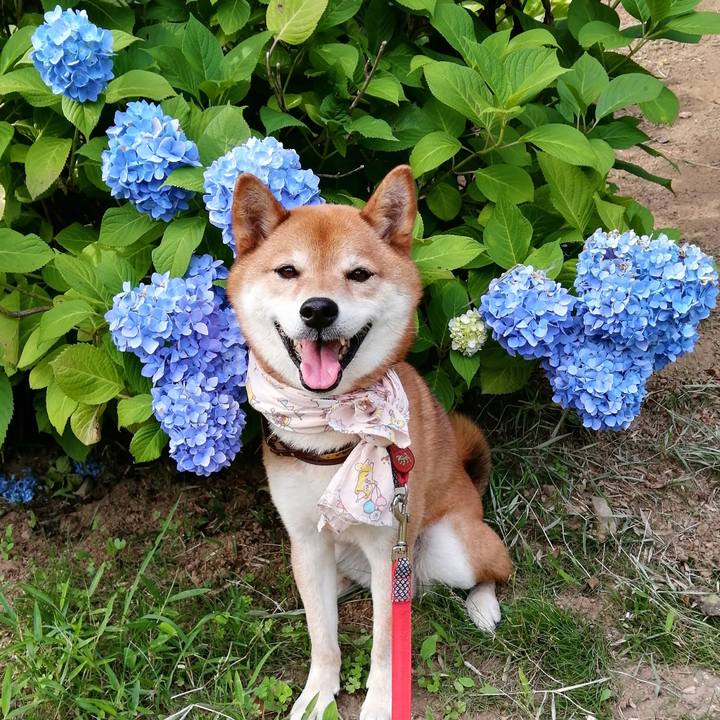 146ef986 f6ef 4445 a9be 3a280d01e68c 1623397865599