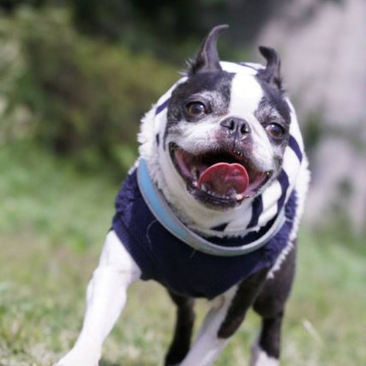 146f00a9 53eb 4e03 8c4c d09e541a0d92 1554014595058