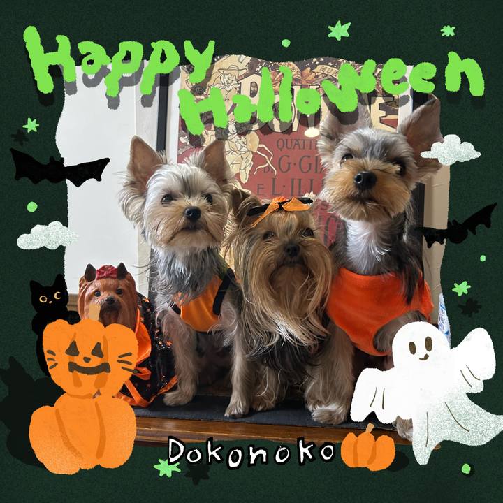 146f1dbb 700d 437f 8071 4cde322ce49d 1730020453492