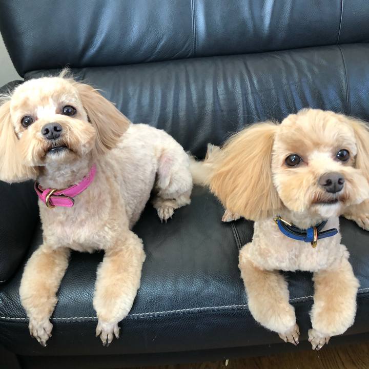 146f5ce7 60cd 42ad 896d c9dea4ec81e8 1674879378943