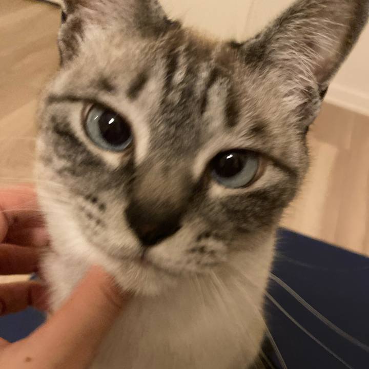 146f68db 721b 4ba4 ab34 ea5b3e993e13 1652240395490