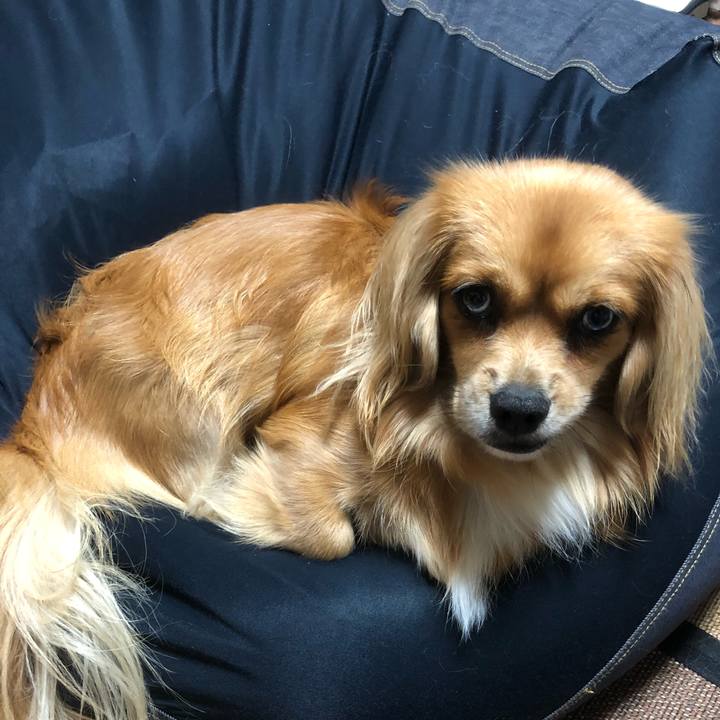 146f7c71 cf48 4ffa ad8c befda4dd13ce 1534632133360