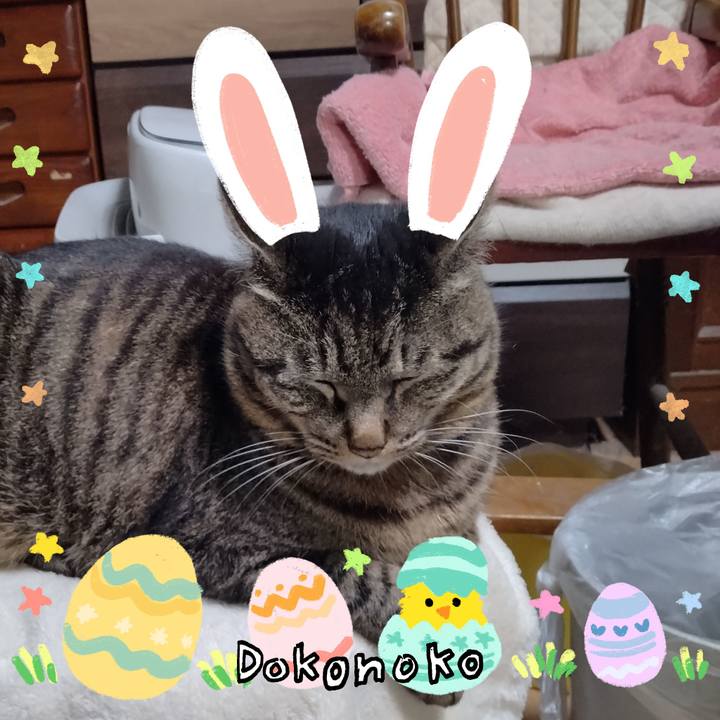 146f8b58 94b8 46c2 8aa6 ab1d681b7fde 1712405123367