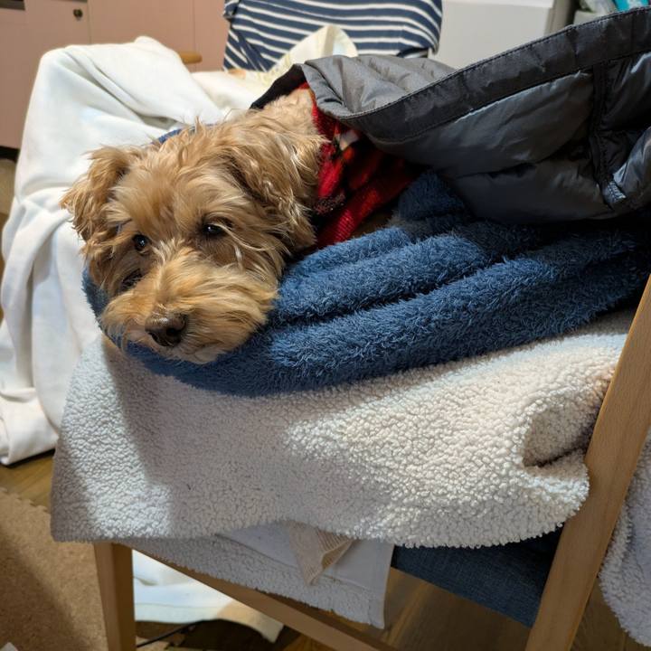 146fa0bc 2b1c 4c36 b0fd 2bb1cae687de 1764476347068