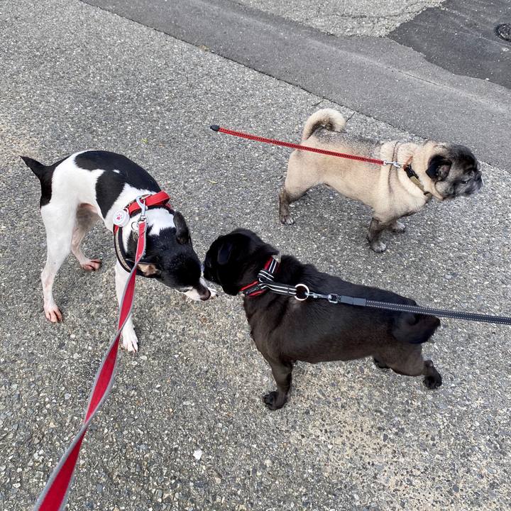 146fc01f ec5a 4480 a46a 500b4a1d9d61 1592609428943