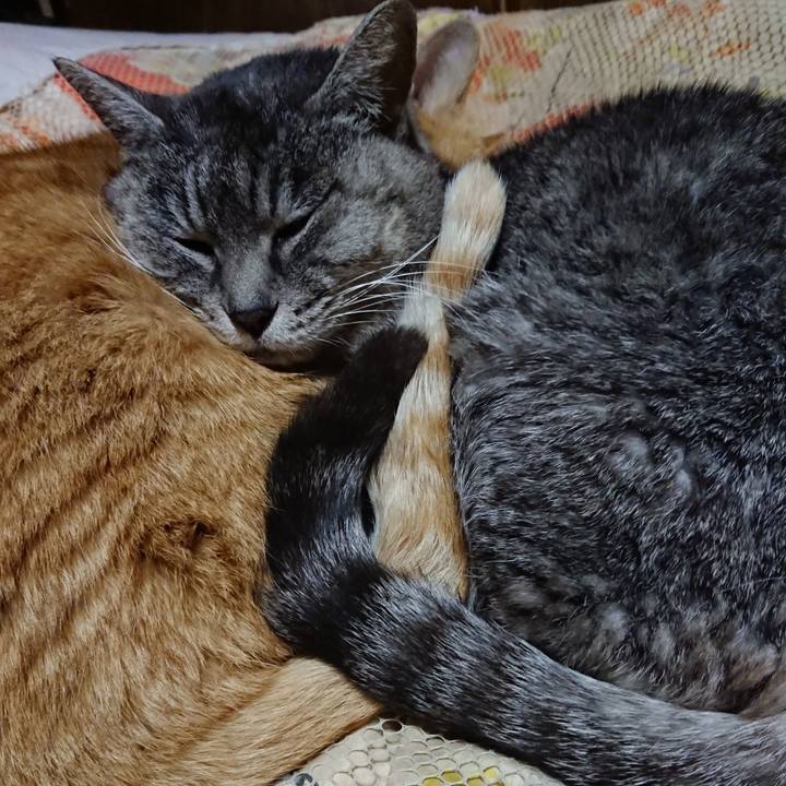 146fc3ed b124 4943 b9d9 28e19288f773 1578140350745