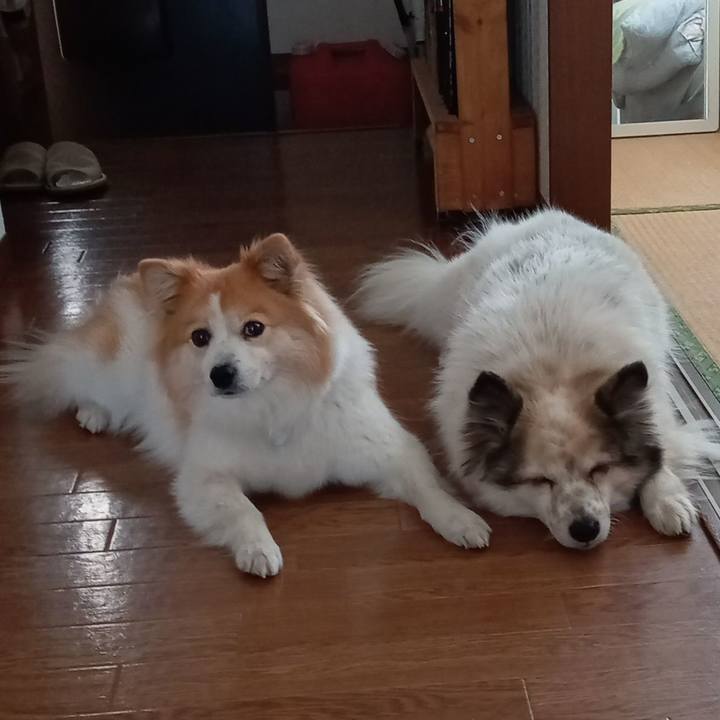 146fe6fb 0ddb 4705 91fb e628d91e0df6 1677927735896