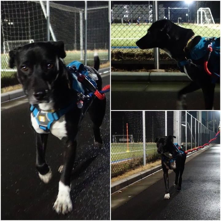 14700c49 045f 406c 8087 26ee8ae3cb36 1610446891521