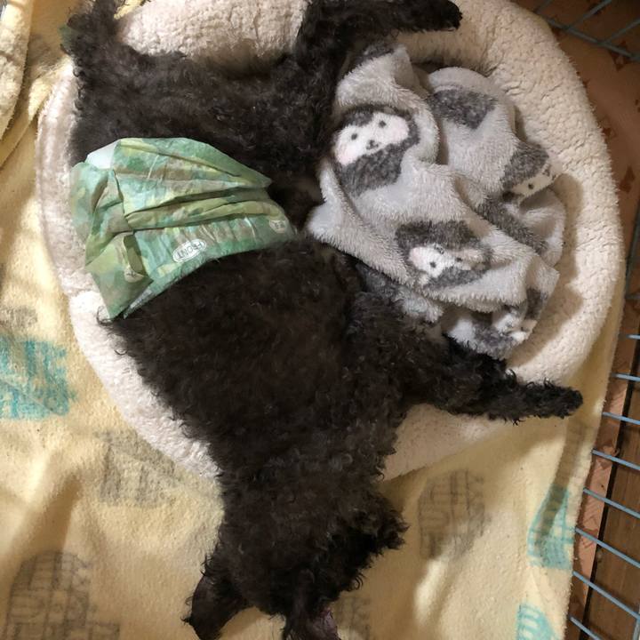 14702233 718b 481a 92ba 7c12dec8d18e 1562714856512