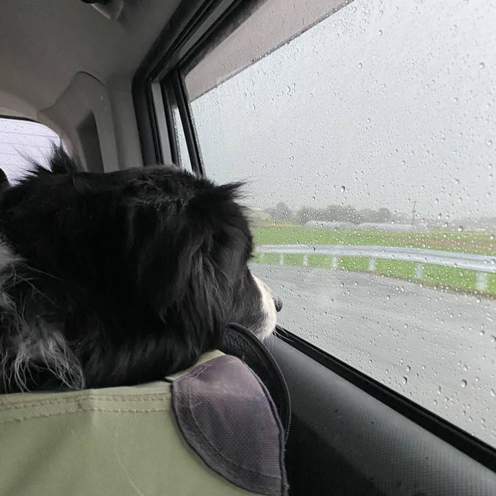 14704185 6566 4e1a a6e5 ad82f1e15e8d 1648246754425