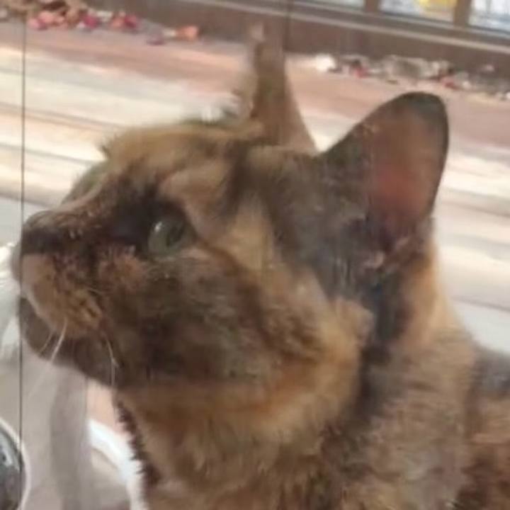 14705d76 f4ee 42cc a01b 3e44578ee69f 1771208599246