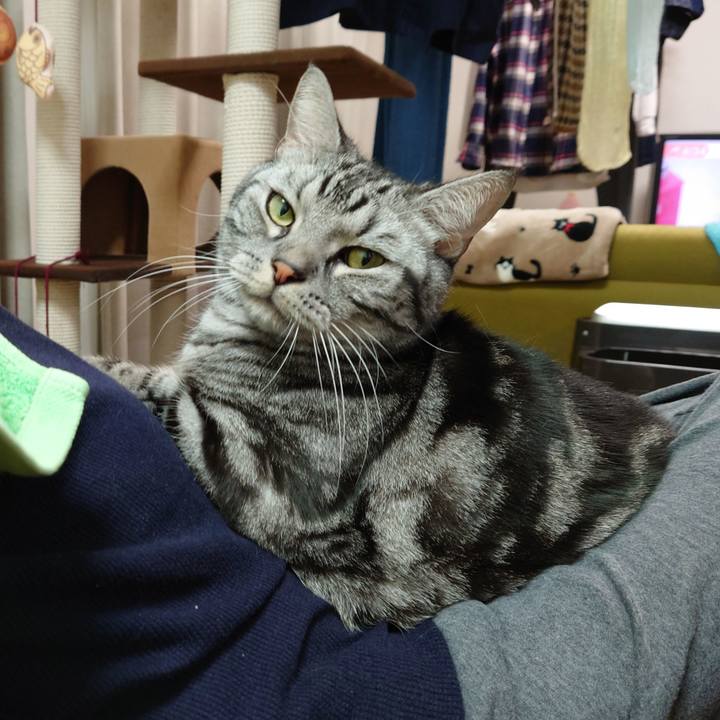 1470758a c488 42cd 90d1 1cd5fd05c409 1610012474069