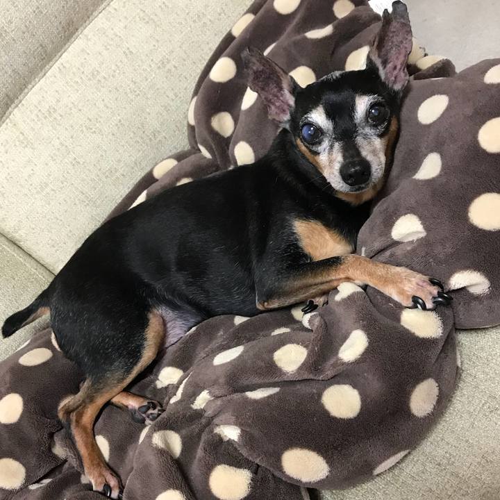 14707ef2 1672 4950 86de 11cf2fb43983 1531447834931