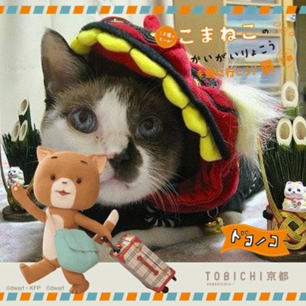 147083cd c0f9 4e46 9fcf 37e99fde62e7 1740182949358