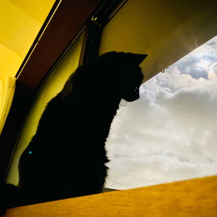 1470968f a056 46af bdd8 f9e1a3fc46a2 1695905453036