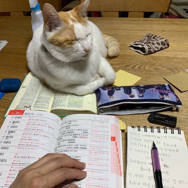 14709d5d 1967 4a57 a9b9 6709d38a686a 1585258736756