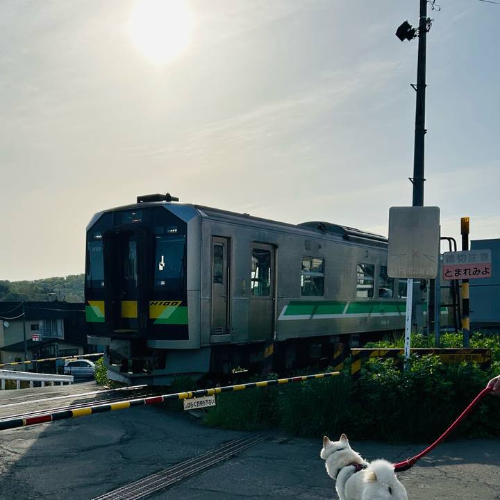 1470da92 ddfe 48cb a644 bd069270bdde 1716158578418