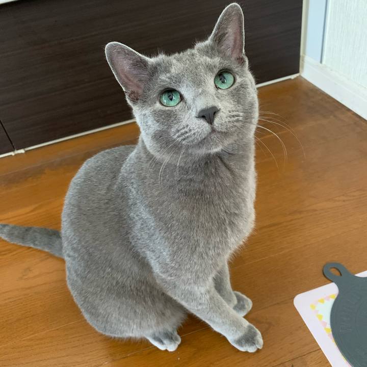 14710c87 1614 45bc abd8 91b55119cc02 1581475480958