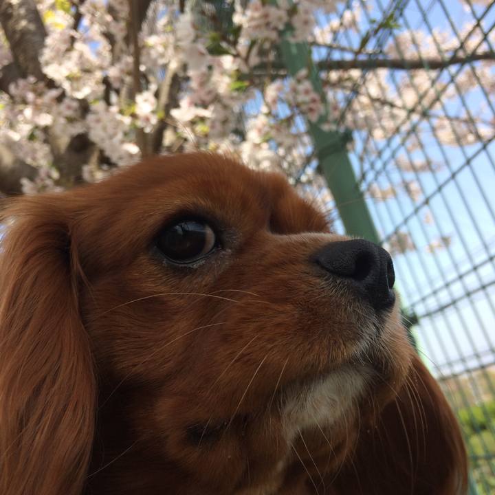 14711812 3319 43df adaa 6f2daa36e7c5 1522476175555