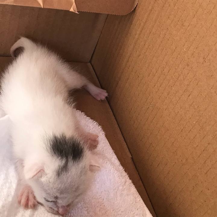 14715a87 6f0a 4f5c a92d a42cdf907548 1589680051338