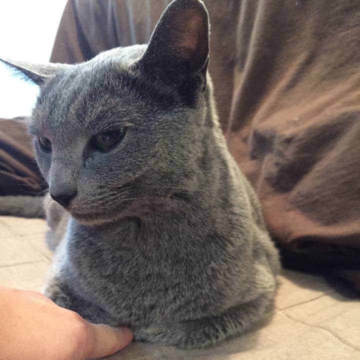 14716fc3 665d 41fb a50a ae929502c1ae 1545874131177