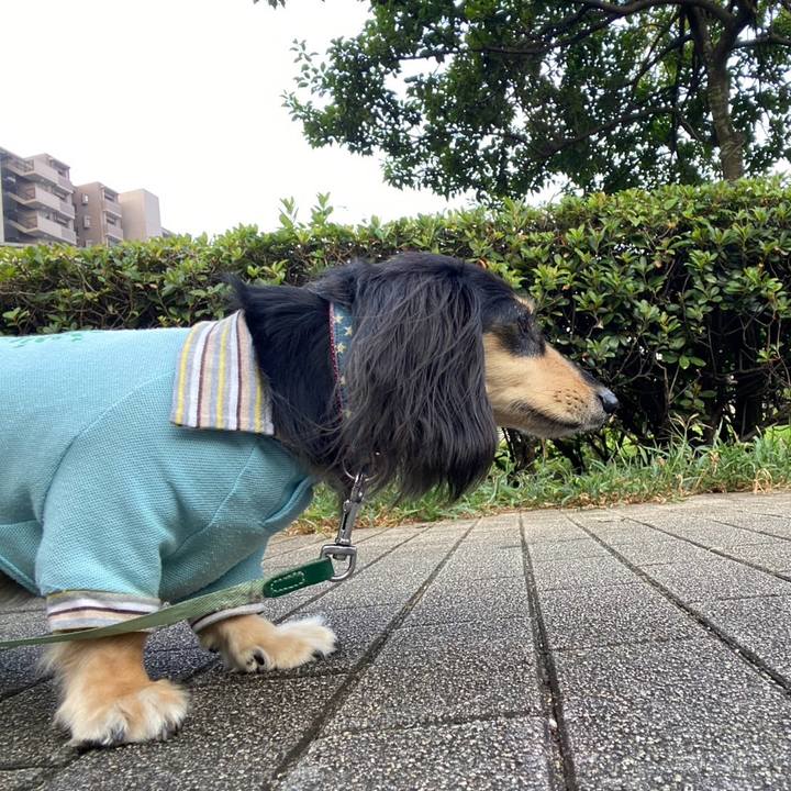 14718658 b3f6 46d1 852d 74579462e9b5 1754191573796