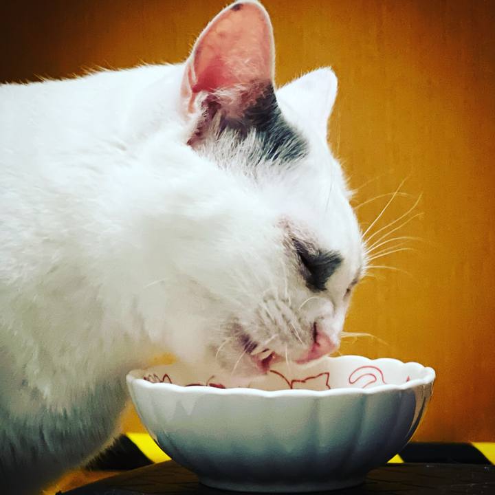 1471929a e7a5 4606 b99d fd0f7a6f1679 1652458374494