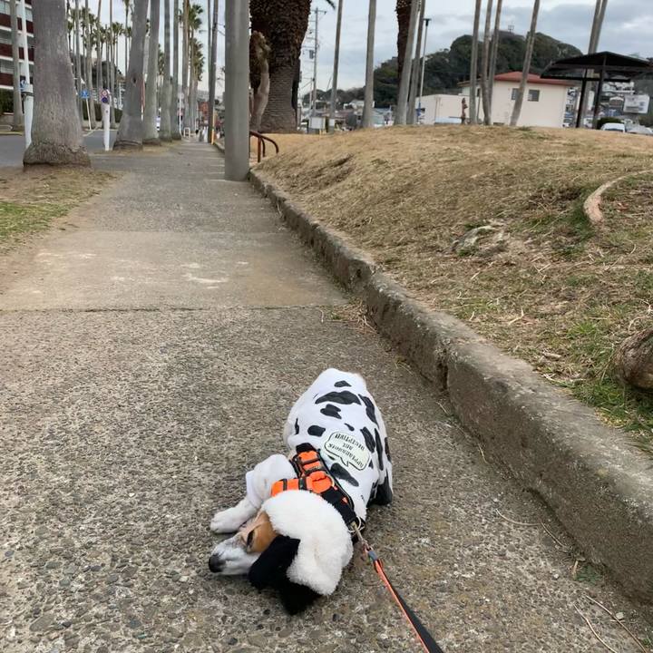 1471bdb3 09c8 4e74 96d5 034cd73e39f1 1645236726509