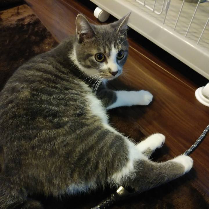 1471c69a 26d9 497b ba71 0ac86dc836ed 1573426408213