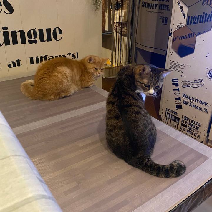 1471caae da10 45fb a69f 044c0f0274af 1639235489425