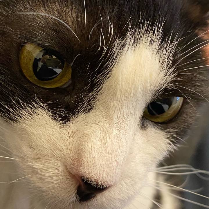 1471d429 5e2b 4c39 a881 4abbeaf3df0a 1716637838917